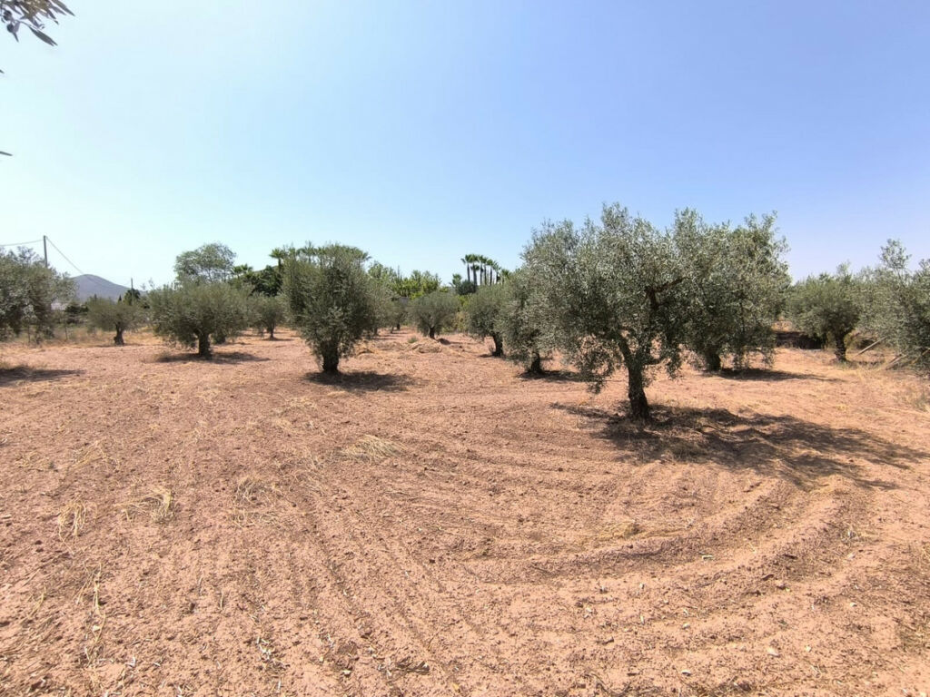 Detached Villa Jumilla Murcia - image 10
