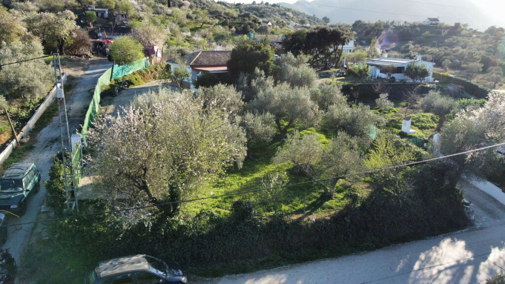 Finca - Cortijo Monda Málaga - image 5