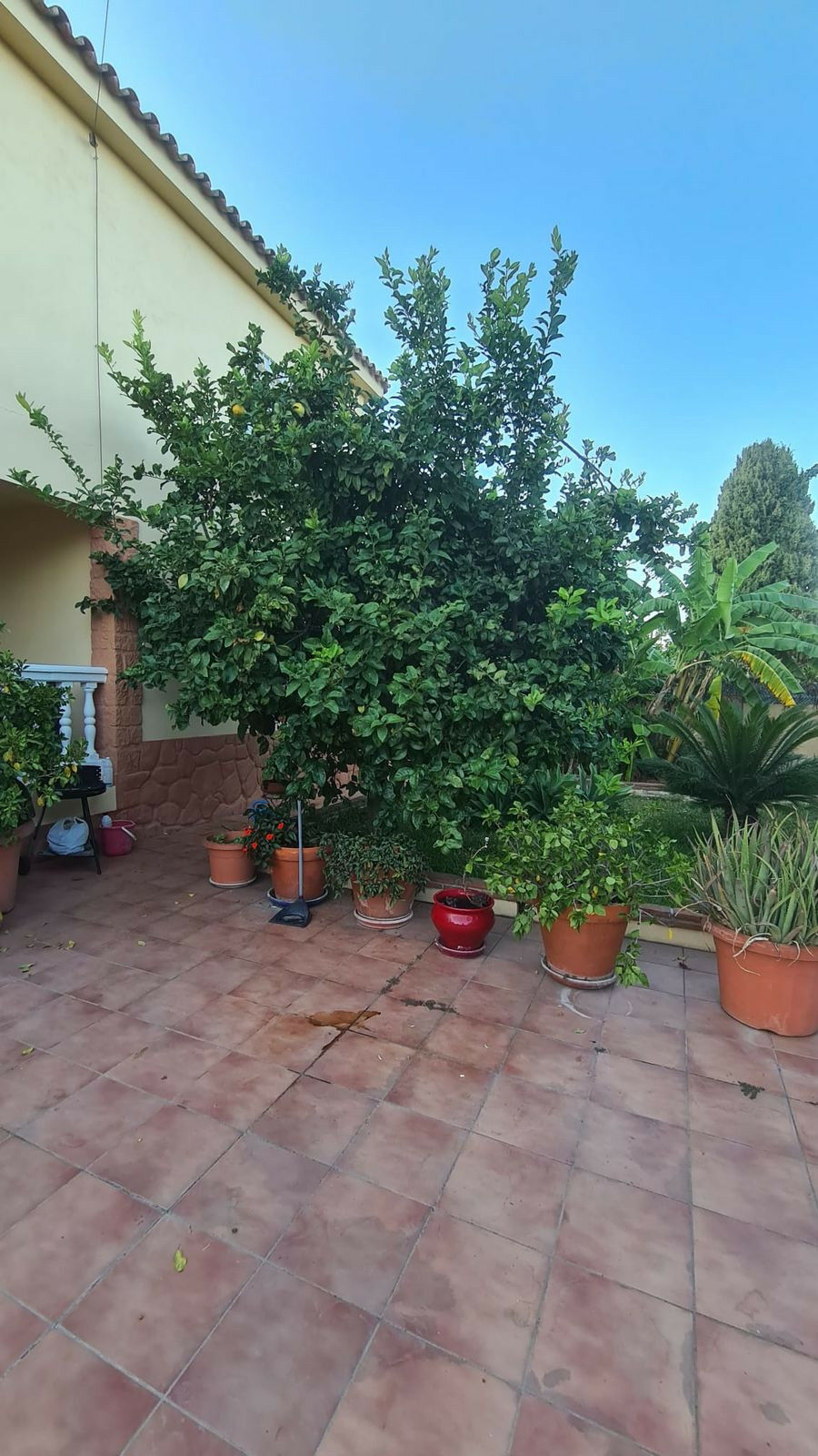 Detached Villa Benalmadena Costa Málaga - image 10