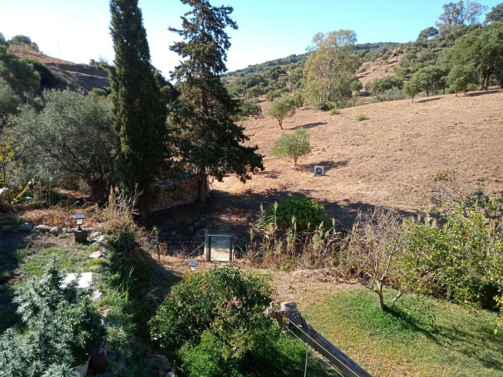 Finca - Cortijo Casares Málaga - image 11
