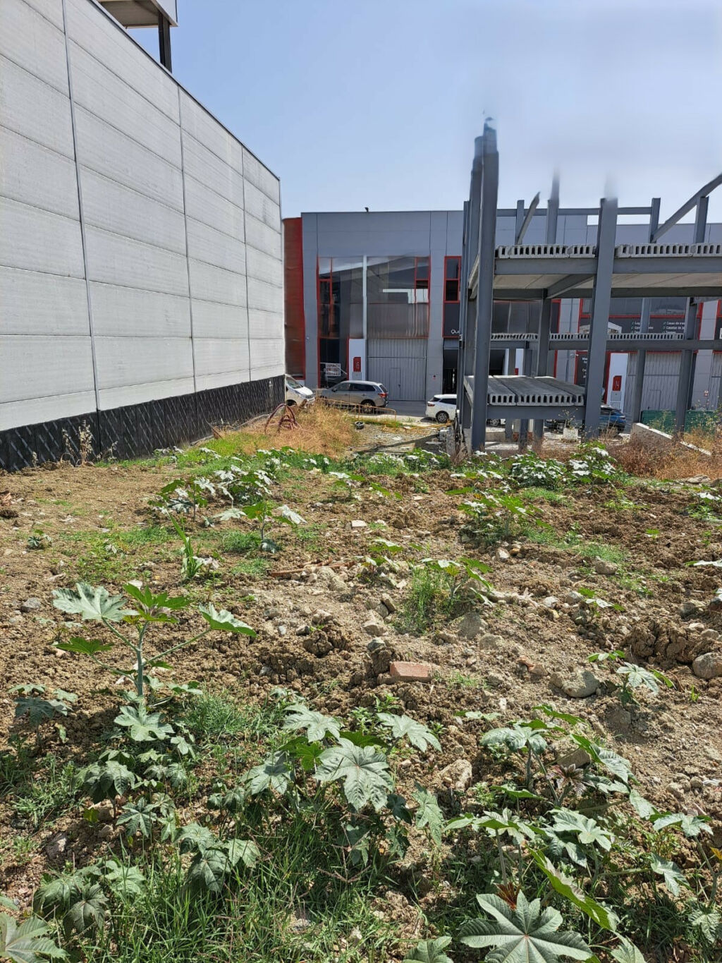 Residential Plot San Pedro de Alcántara Málaga - image 11