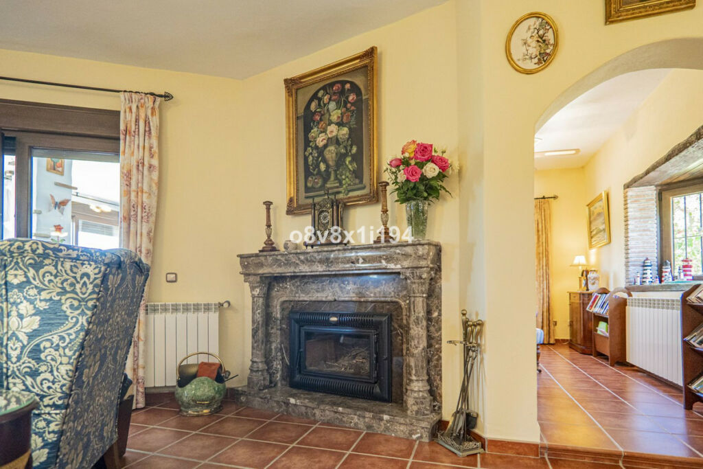 Detached Villa Cártama Málaga - image 11
