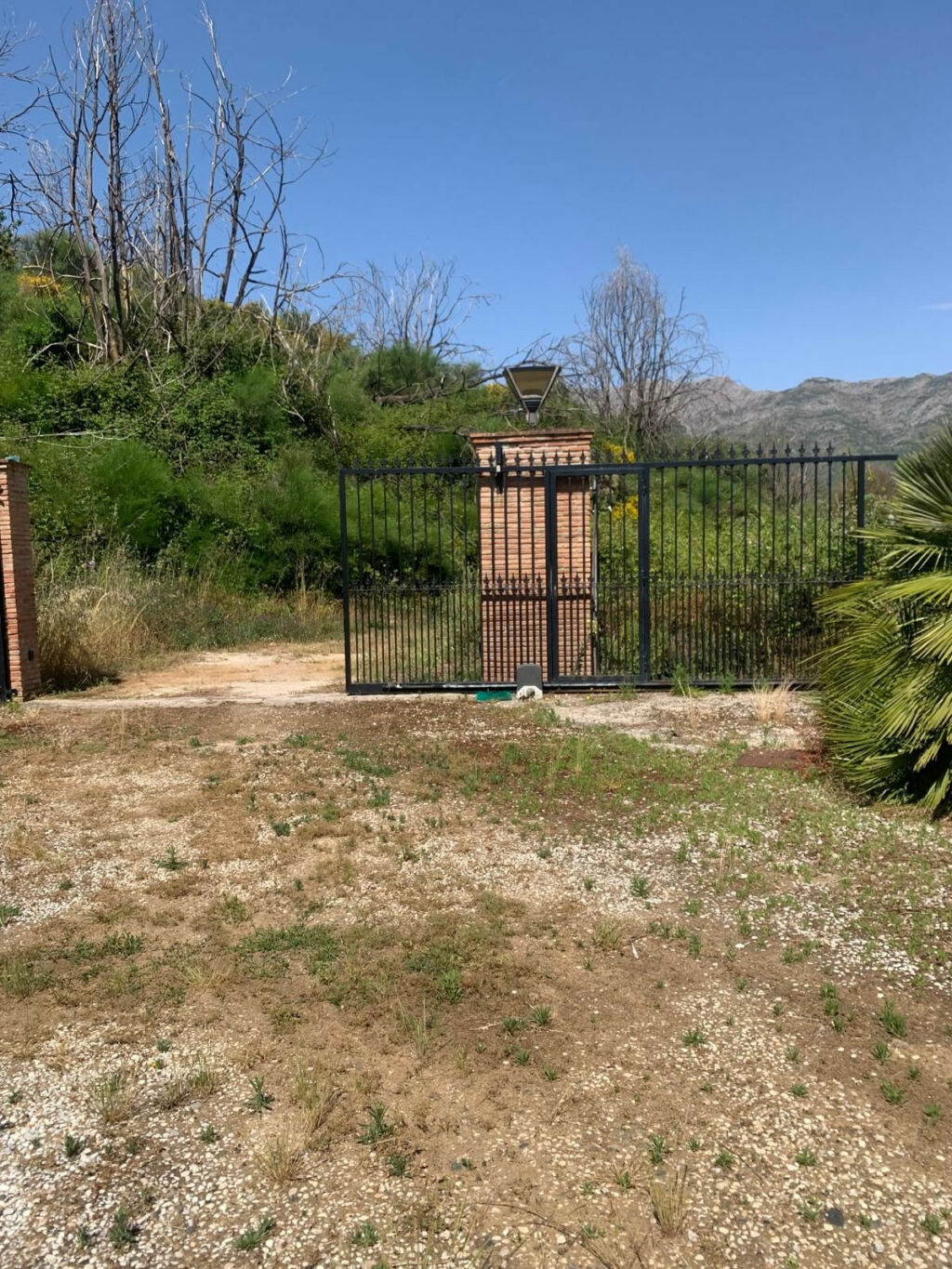 Finca - Cortijo Ojén Málaga - image 11