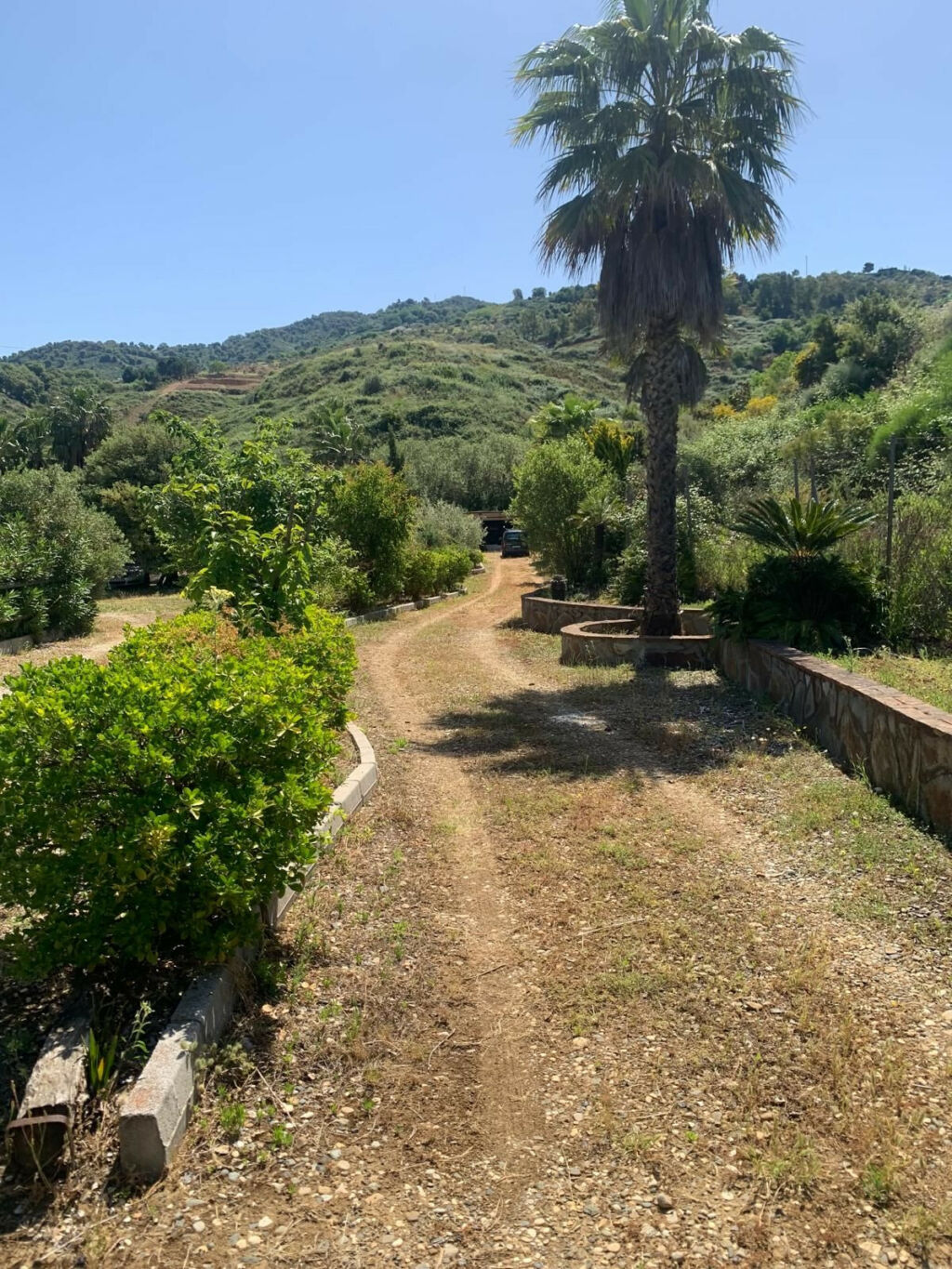 Finca - Cortijo Ojén Málaga - image 12