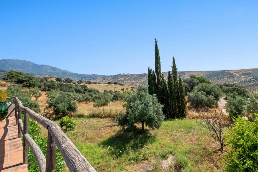 Finca - Cortijo Tolox Málaga - image 13