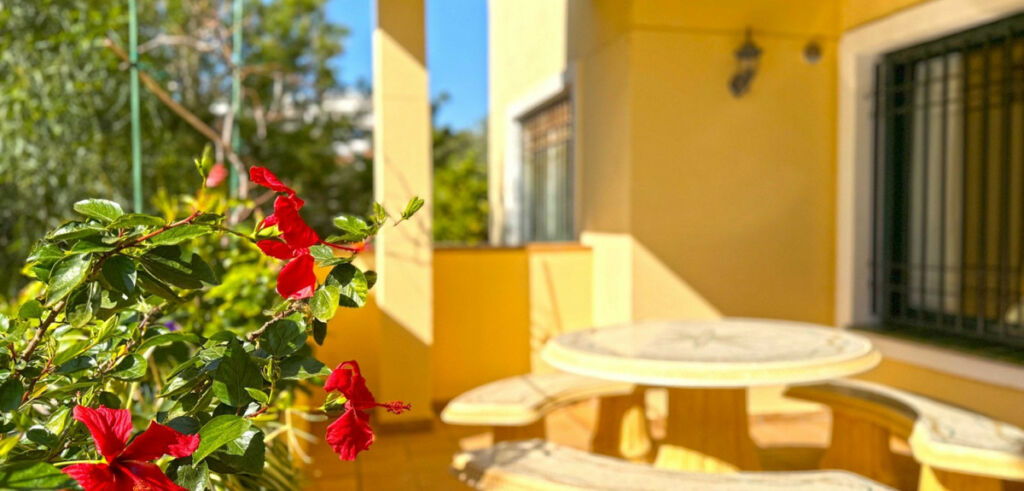 Ground Floor Apartment Lomas De Campoamor Alicante - image 12