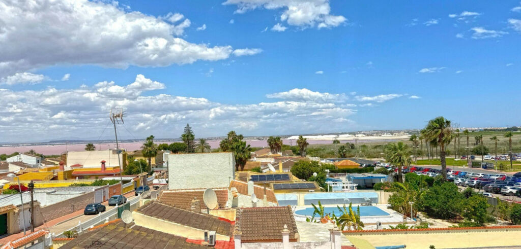 Detached Villa Torrevieja Alicante - image 12