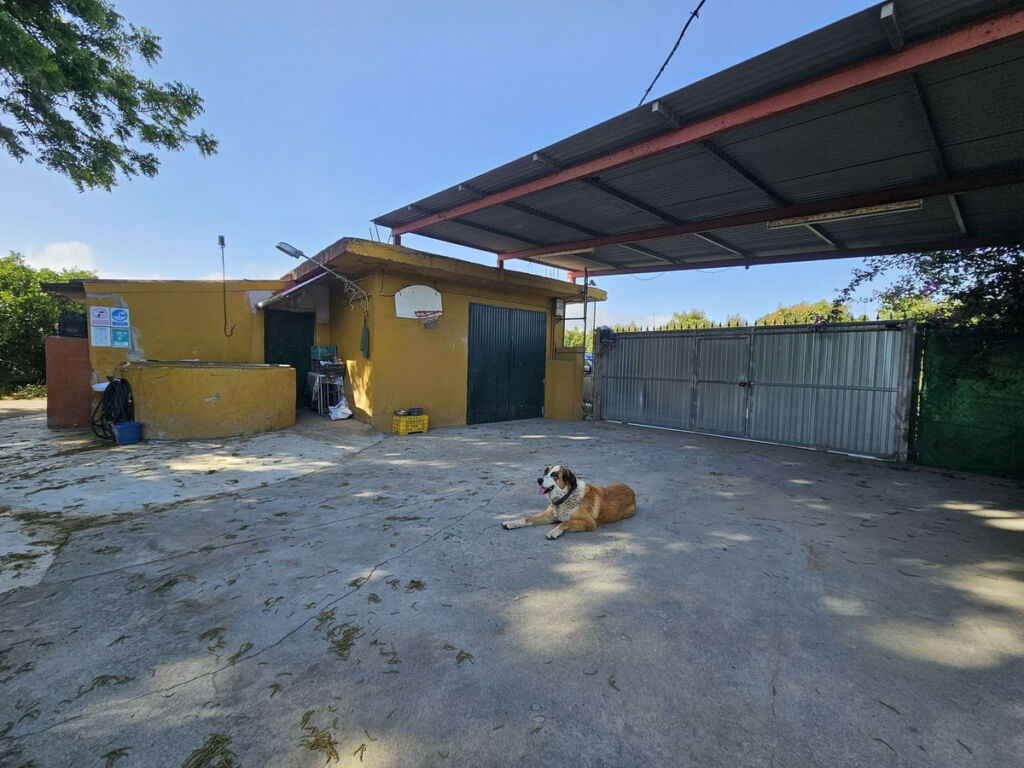 Farm San Martín de Tesorillo Cádiz - image 13