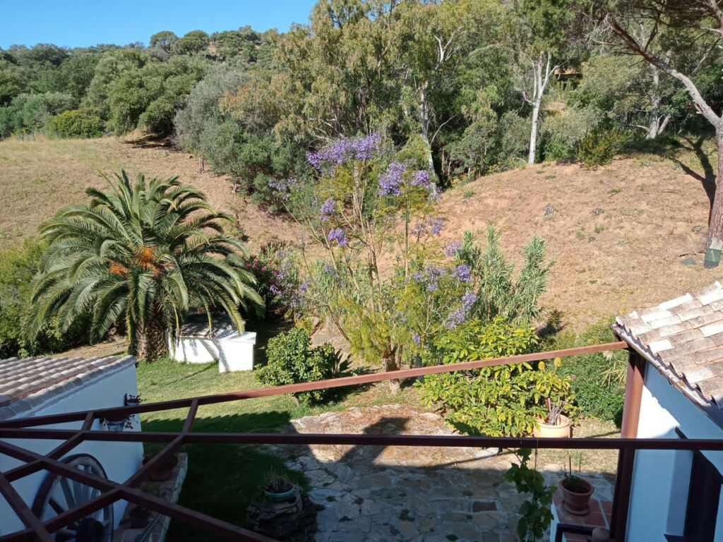 Finca - Cortijo Casares Málaga - image 12