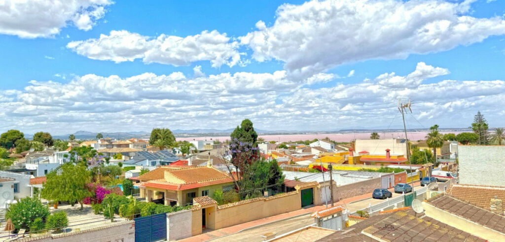Detached Villa Torrevieja Alicante - image 13