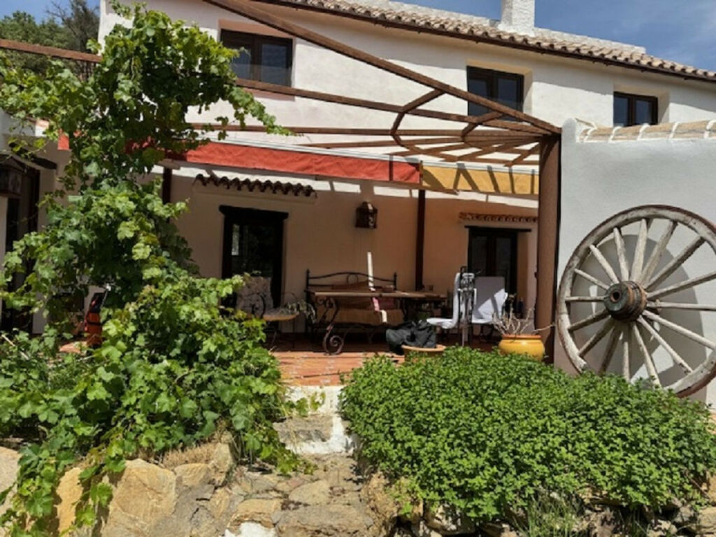 Finca - Cortijo Casares Málaga - image 13