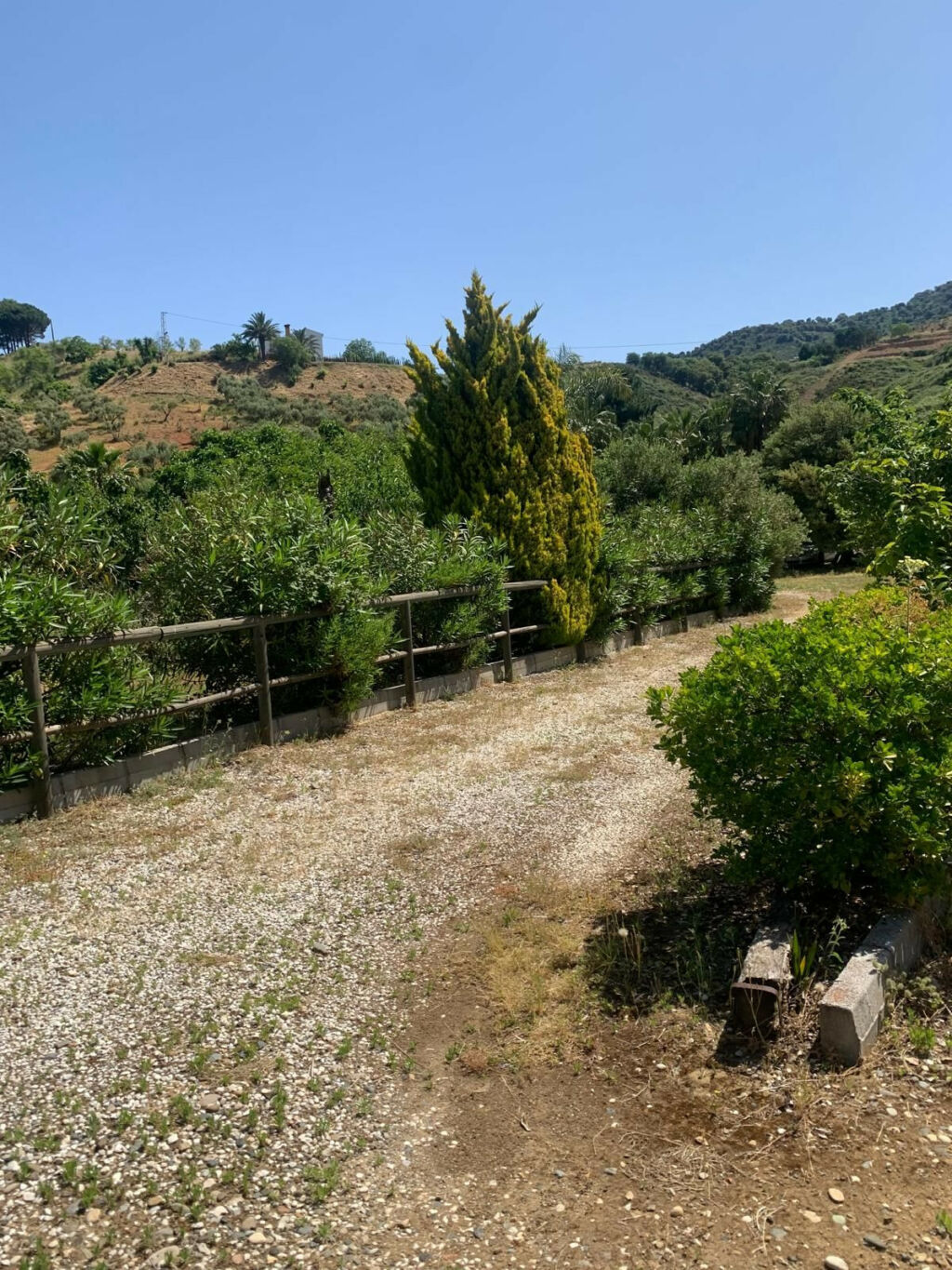 Finca - Cortijo Ojén Málaga - image 13