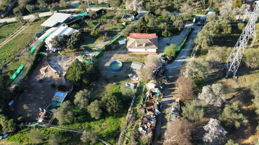 Finca - Cortijo Monda Málaga - image 9