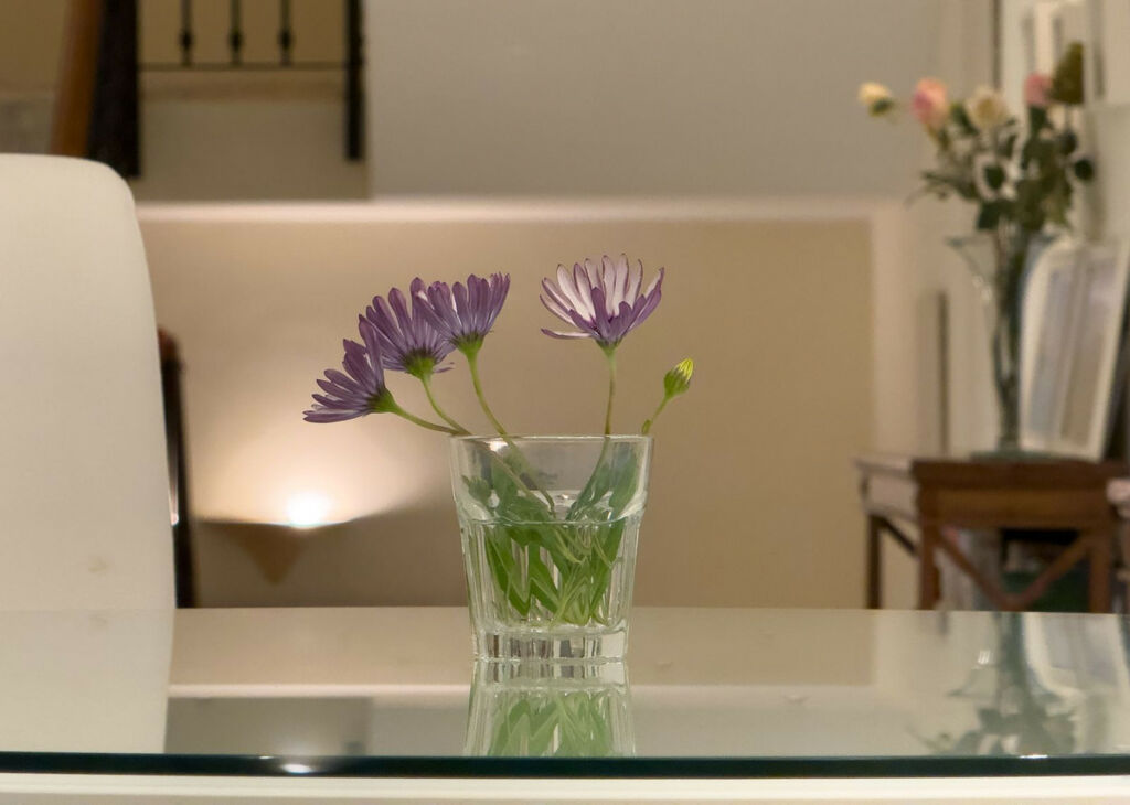 Detached Villa El Rosario Málaga - image 13