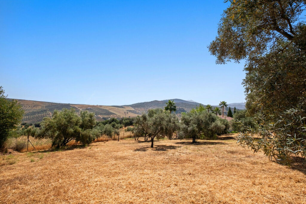 Finca - Cortijo Tolox Málaga - image 15