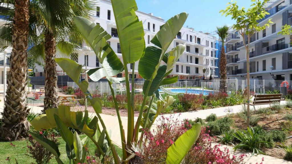 Top Floor Apartment Denia Alicante - image 14