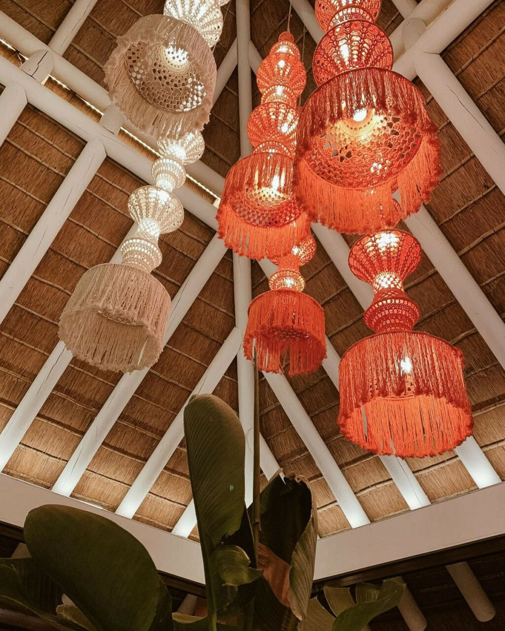 Hotel Novo Sancti Petri Cádiz - image 14