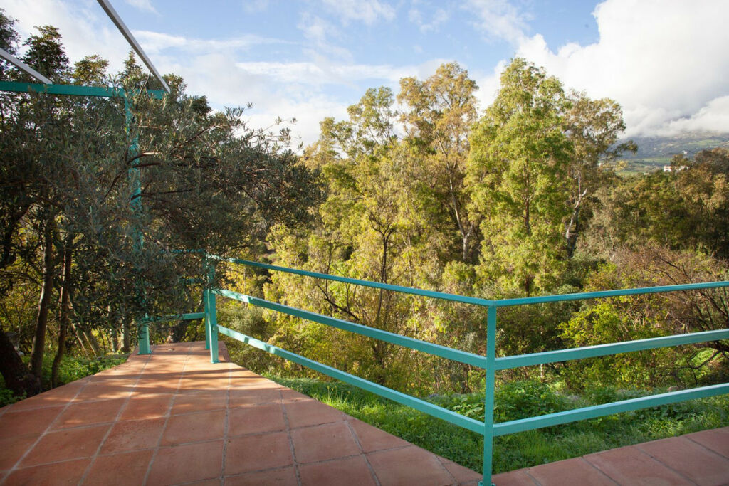 Finca - Cortijo Casarabonela Málaga - image 14
