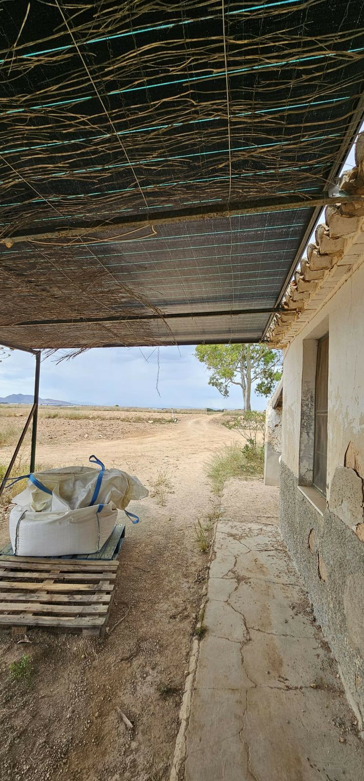 Commercial Plot Sucina Murcia - image 14