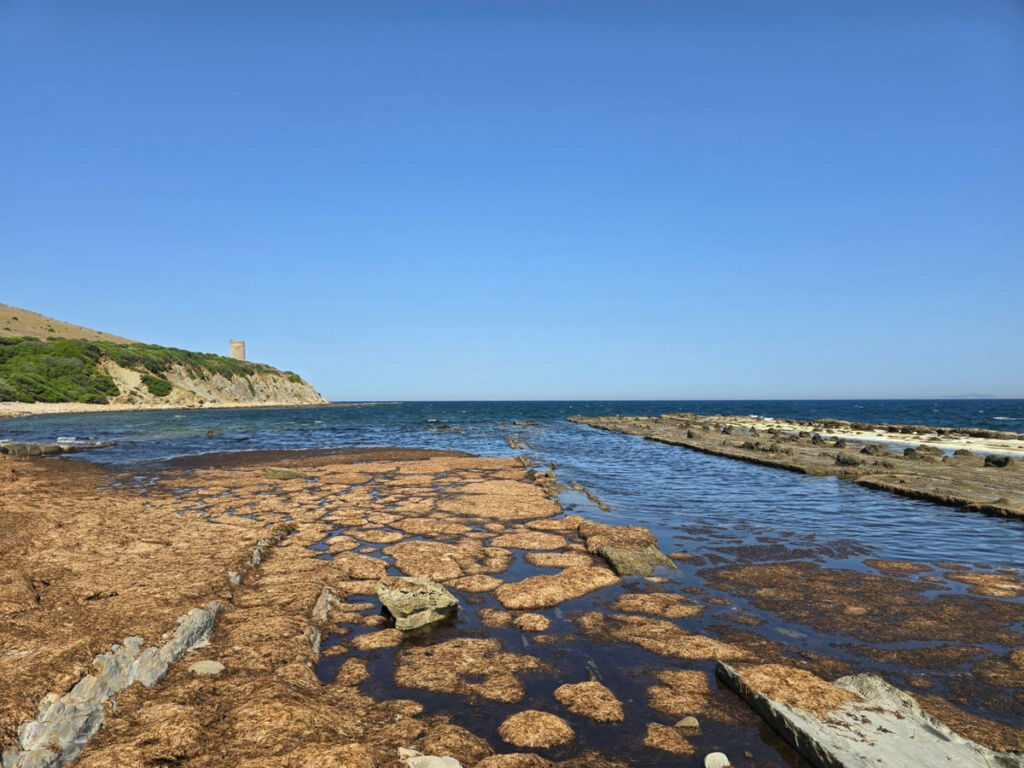 Land Tarifa Cádiz - image 15