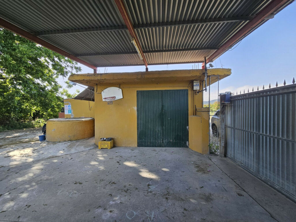 Farm San Martín de Tesorillo Cádiz - image 2