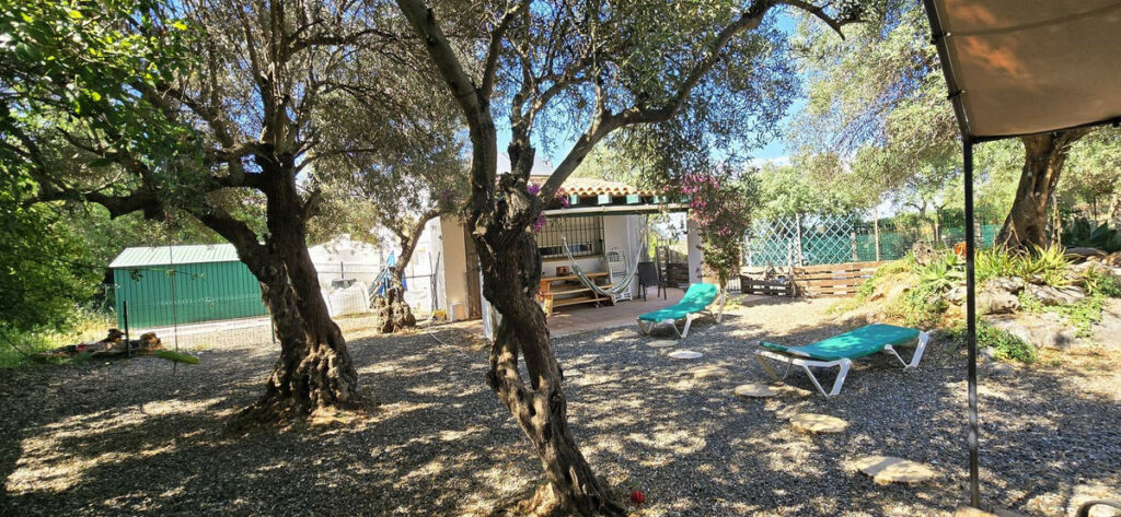 Detached Villa Monda Málaga - image 15