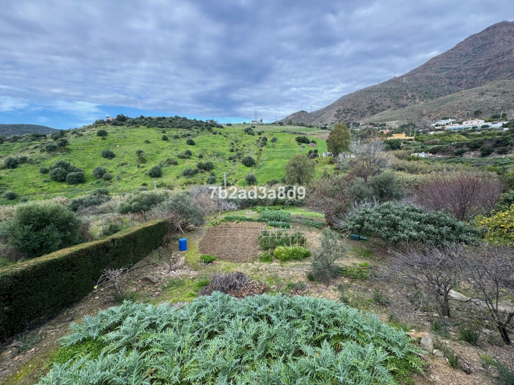 Finca - Cortijo Estepona Málaga - image 15