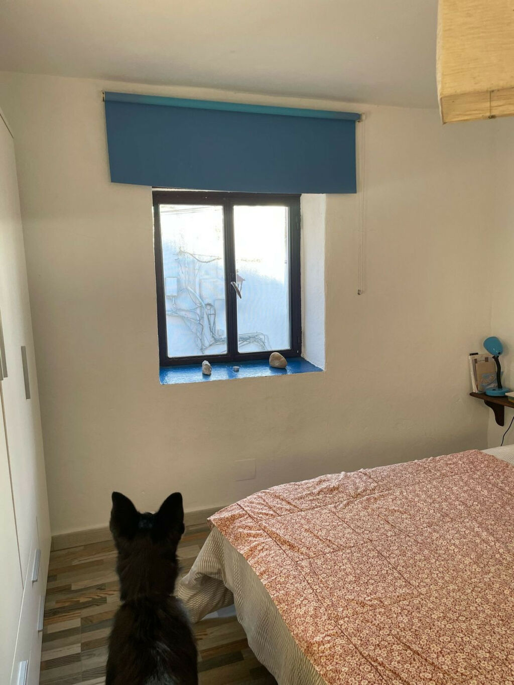 Townhouse Jimena de la Frontera Cádiz - image 15