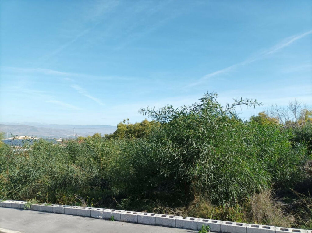 Residential Plot Alhaurín el Grande Málaga - image 12