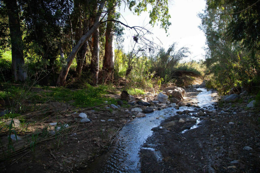 Finca - Cortijo Casarabonela Málaga - image 15
