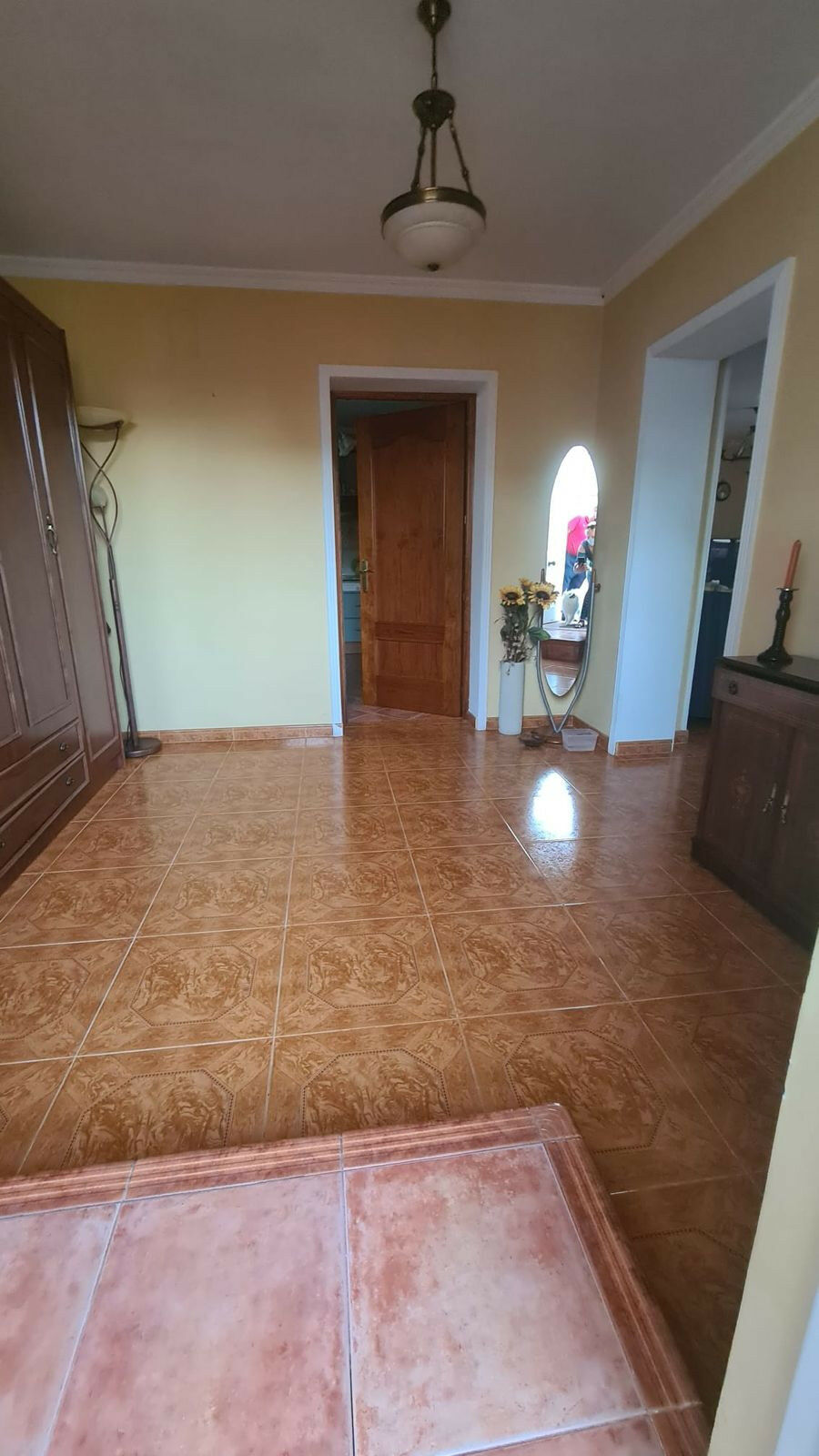 Detached Villa Benalmadena Costa Málaga - image 15