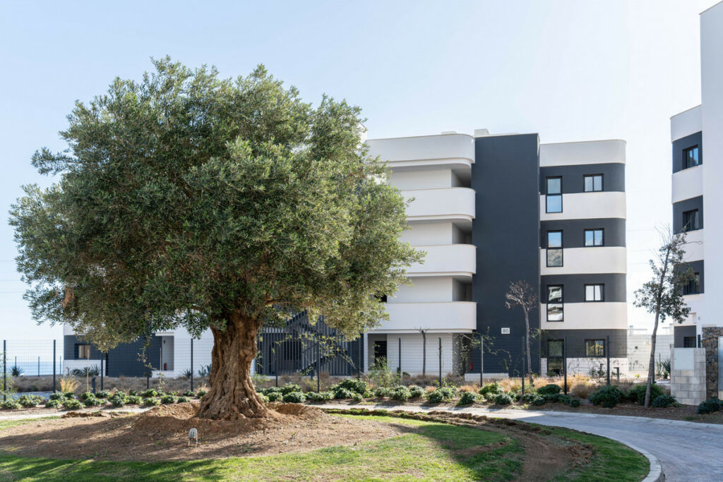 Middle Floor Apartment Fuengirola Málaga - image 15