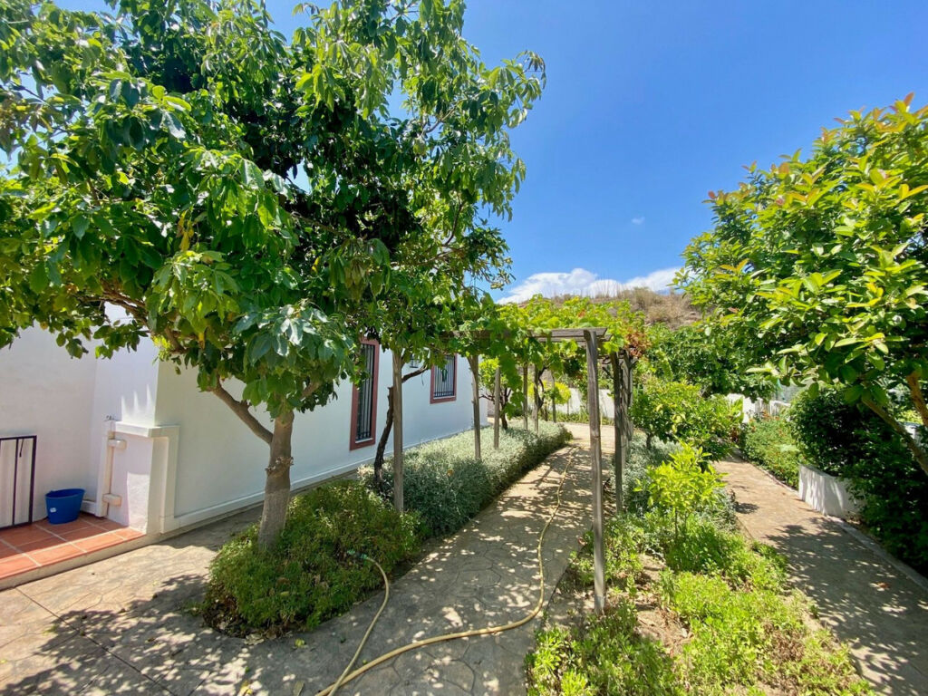 Detached Villa Calahonda Málaga - image 16