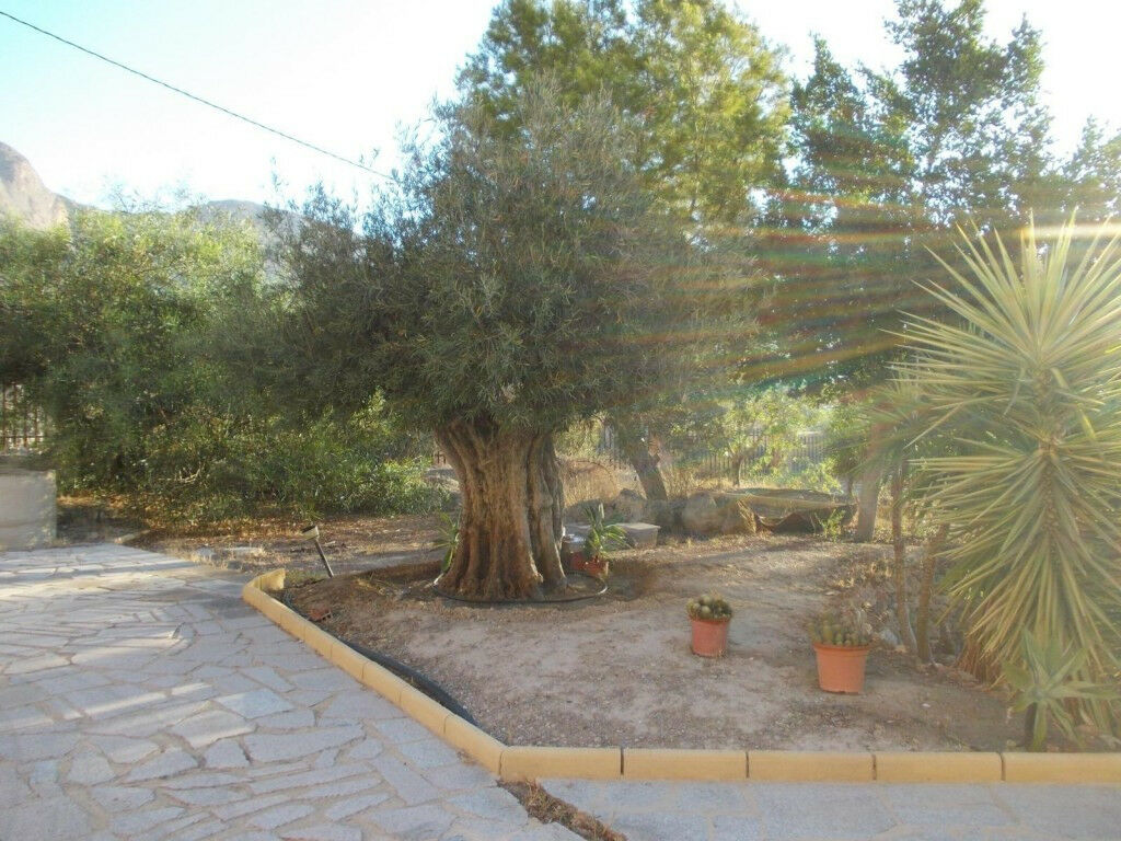 Detached Villa Orihuela Alicante - image 16
