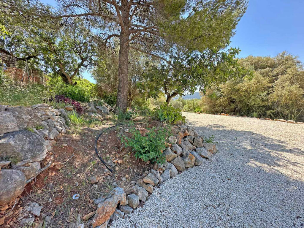 Detached Villa Jalon Alicante - image 16
