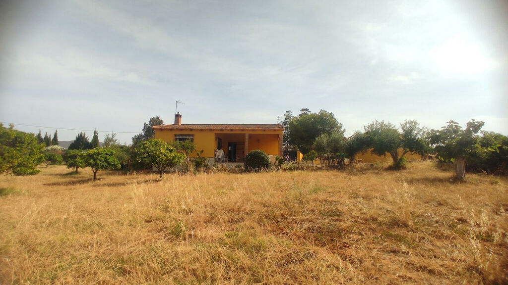 Finca - Cortijo La Cala Málaga - image 16