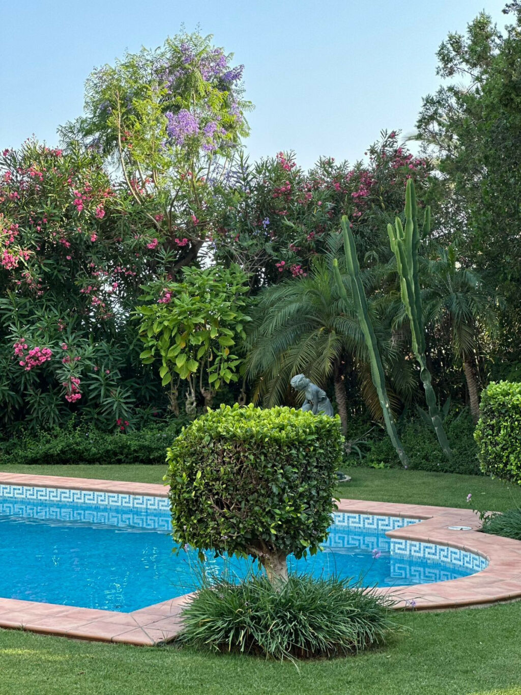 Detached Villa Sierra Blanca Málaga - image 23
