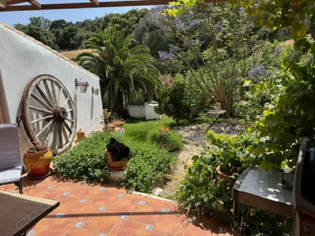 Finca - Cortijo Casares Málaga - image 17