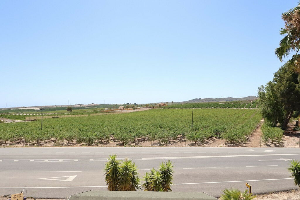 Hotel San Miguel de Salinas Alicante - image 17