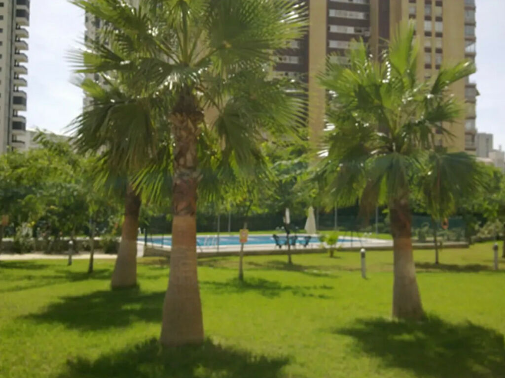 Middle Floor Apartment Benidorm Alicante - image 17
