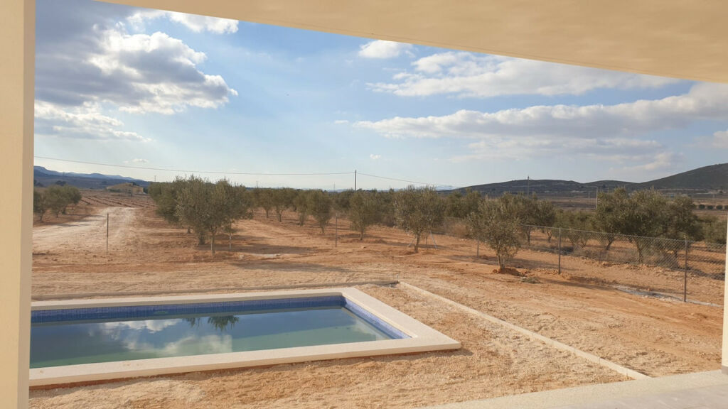Detached Villa Pinoso Alicante - image 17