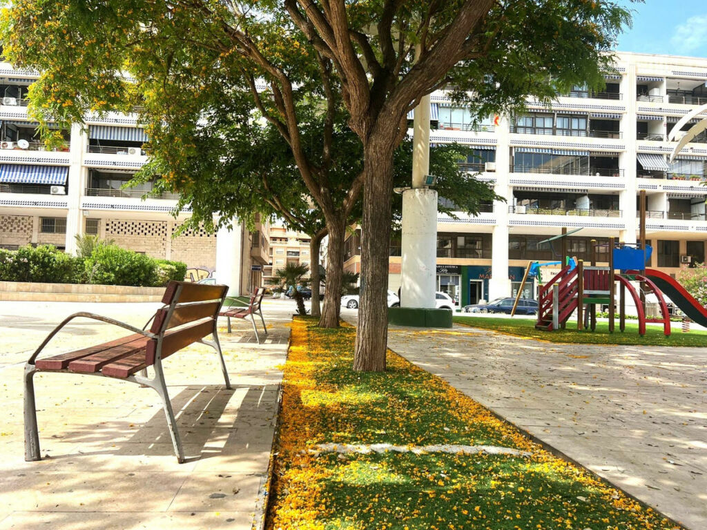 Middle Floor Apartment Guardamar del Segura Alicante - image 17
