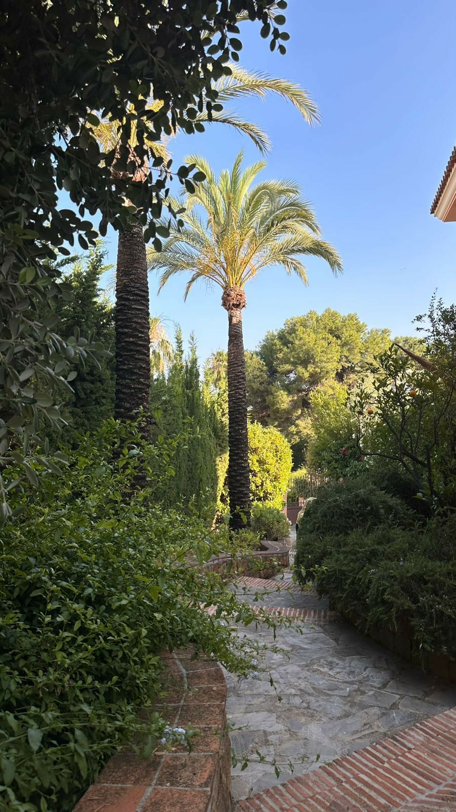Detached Villa Sierra Blanca Málaga - image 24