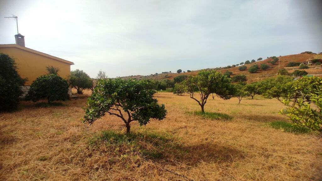Finca - Cortijo La Cala Málaga - image 18