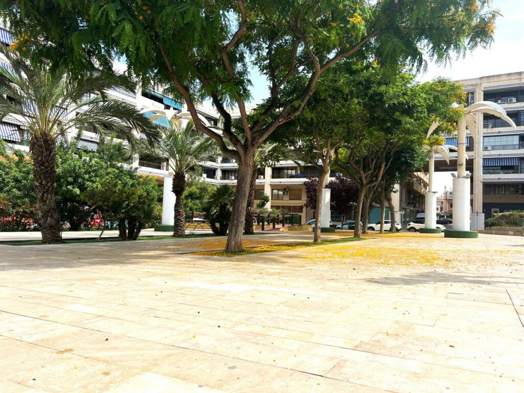 Middle Floor Apartment Guardamar del Segura Alicante - image 18