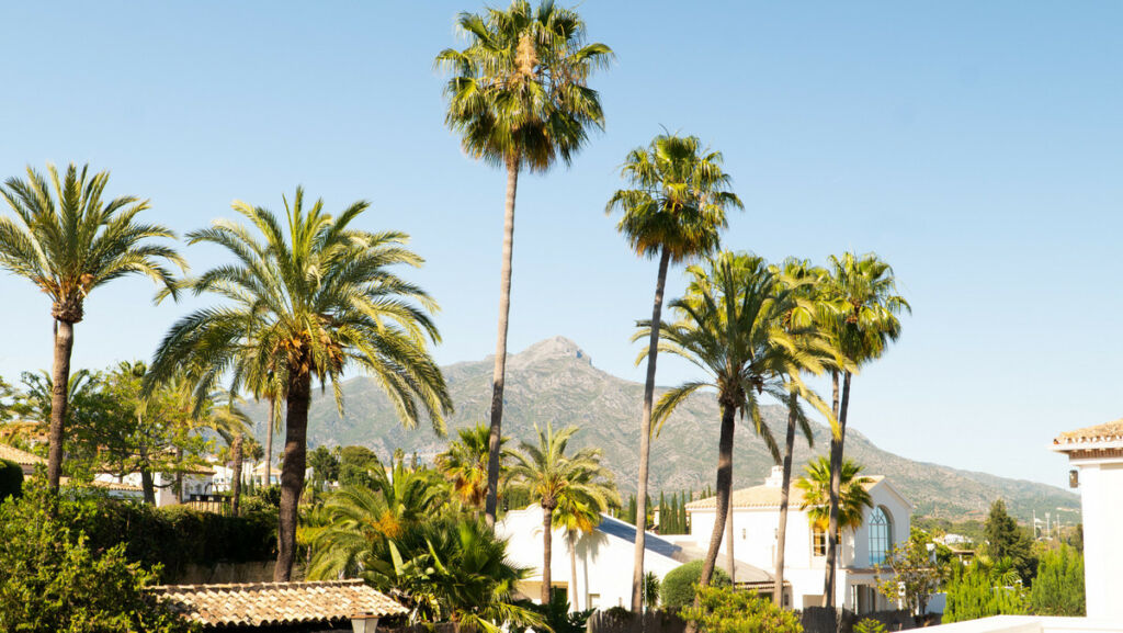 Detached Villa Nueva Andalucía Málaga - image 18
