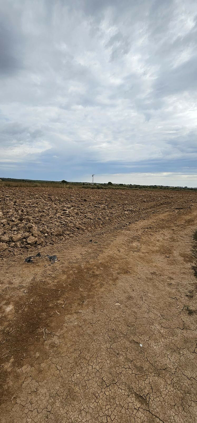 Commercial Plot Sucina Murcia - image 18
