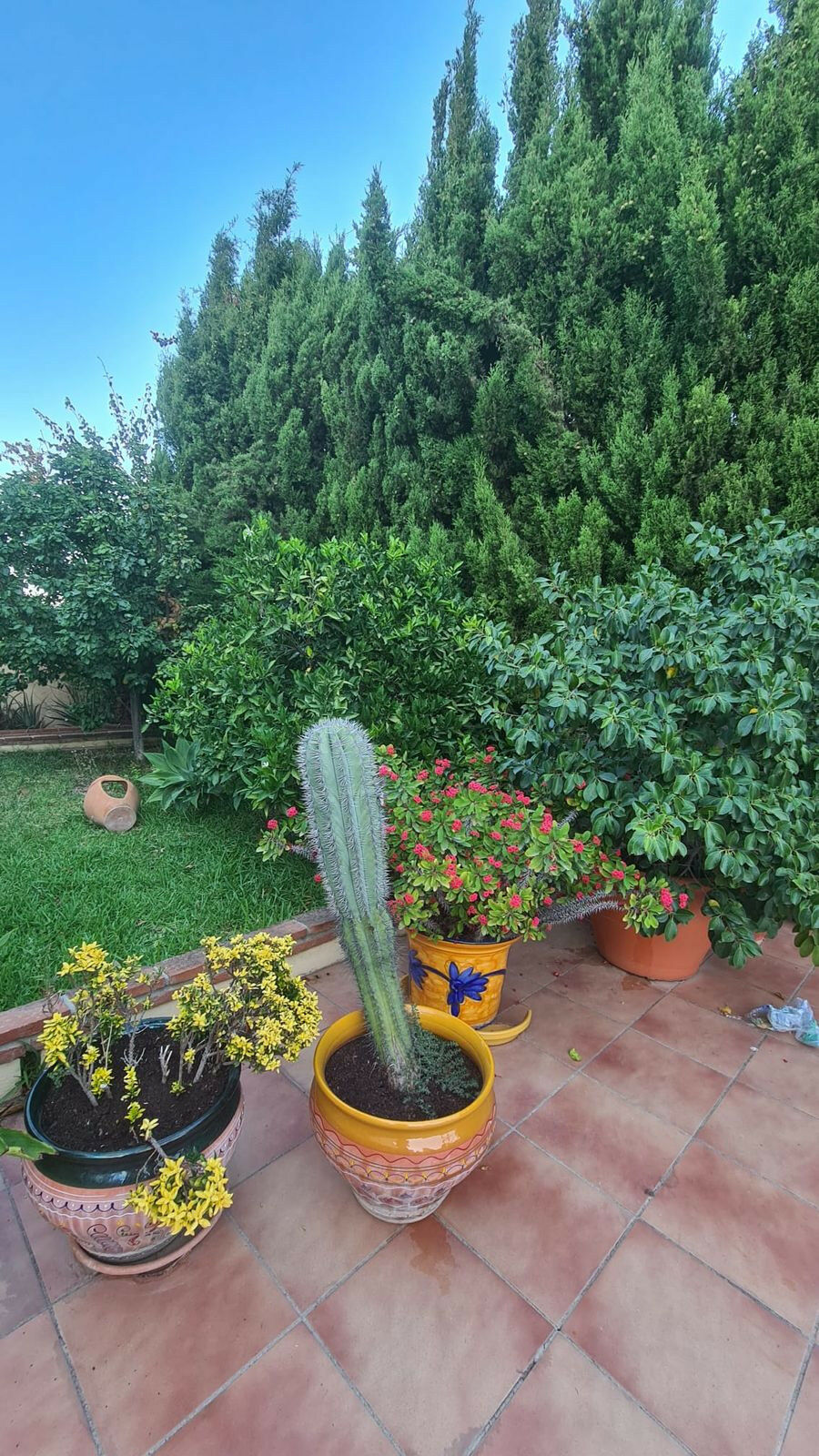 Detached Villa Benalmadena Costa Málaga - image 19
