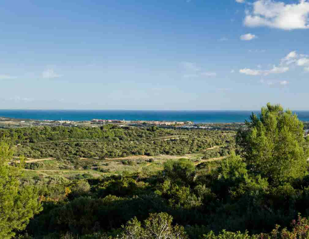 Detached Villa San Roque Cádiz - image 19