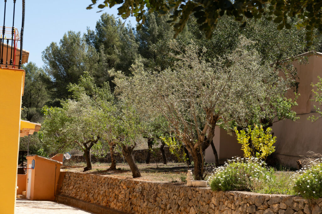 Finca - Cortijo Jalon Alicante - image 19